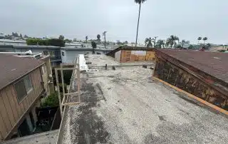 Urban rooftop scene with palm trees in distance.