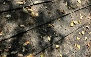 Glendale CA Roof Repair Glendale CA Roof Repair