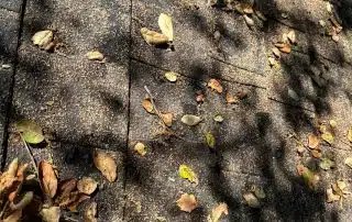 Glendale CA Roof Repair Glendale CA Roof Repair