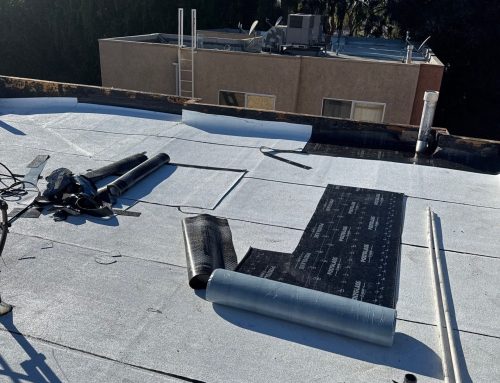 Why Flat Roofs Leak More Often Than Pitched Roofs