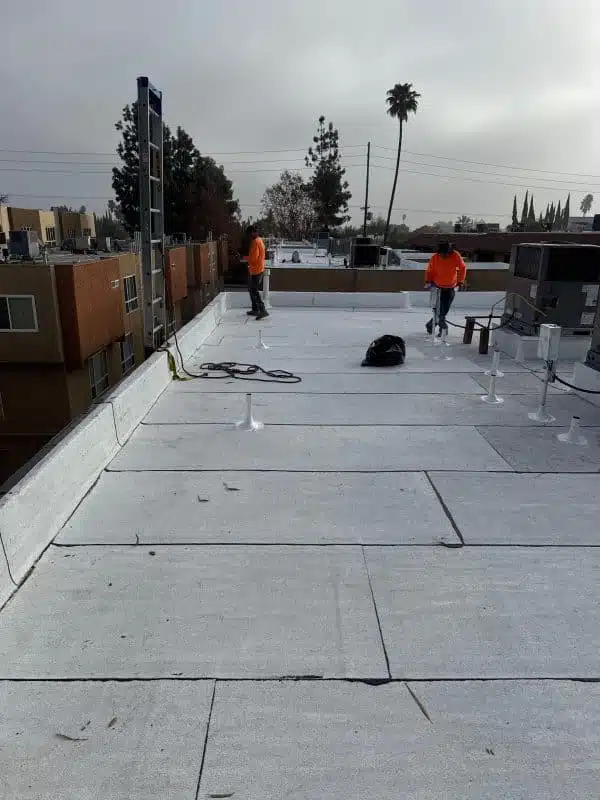 Flat Roof Maintenance
