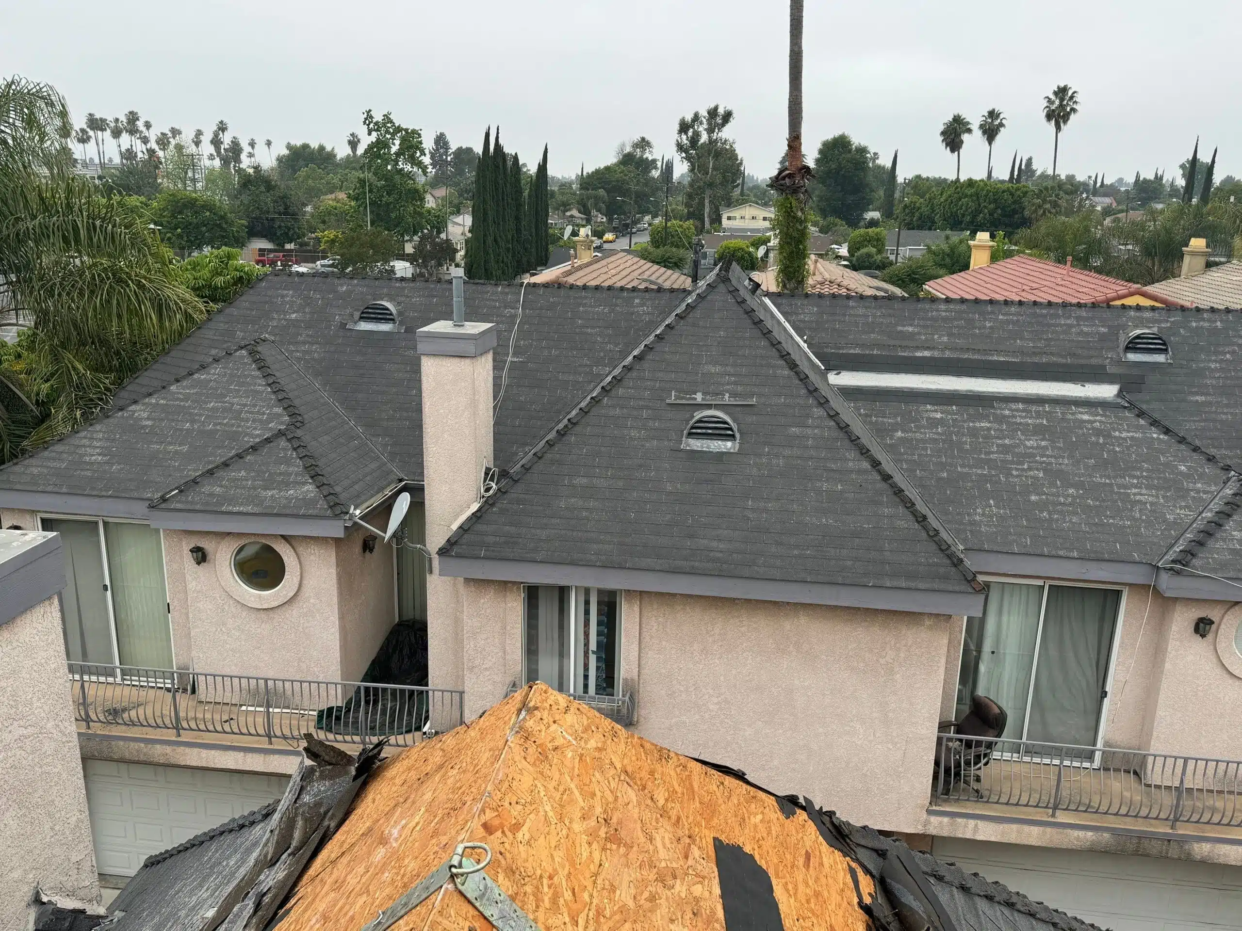 House roofs with shingles and palm trees.