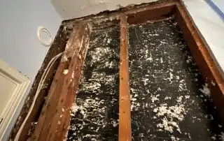Interior open wall damage