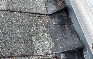 warped shingles