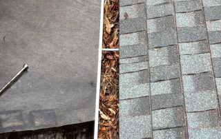 Tree causing gutters to clog