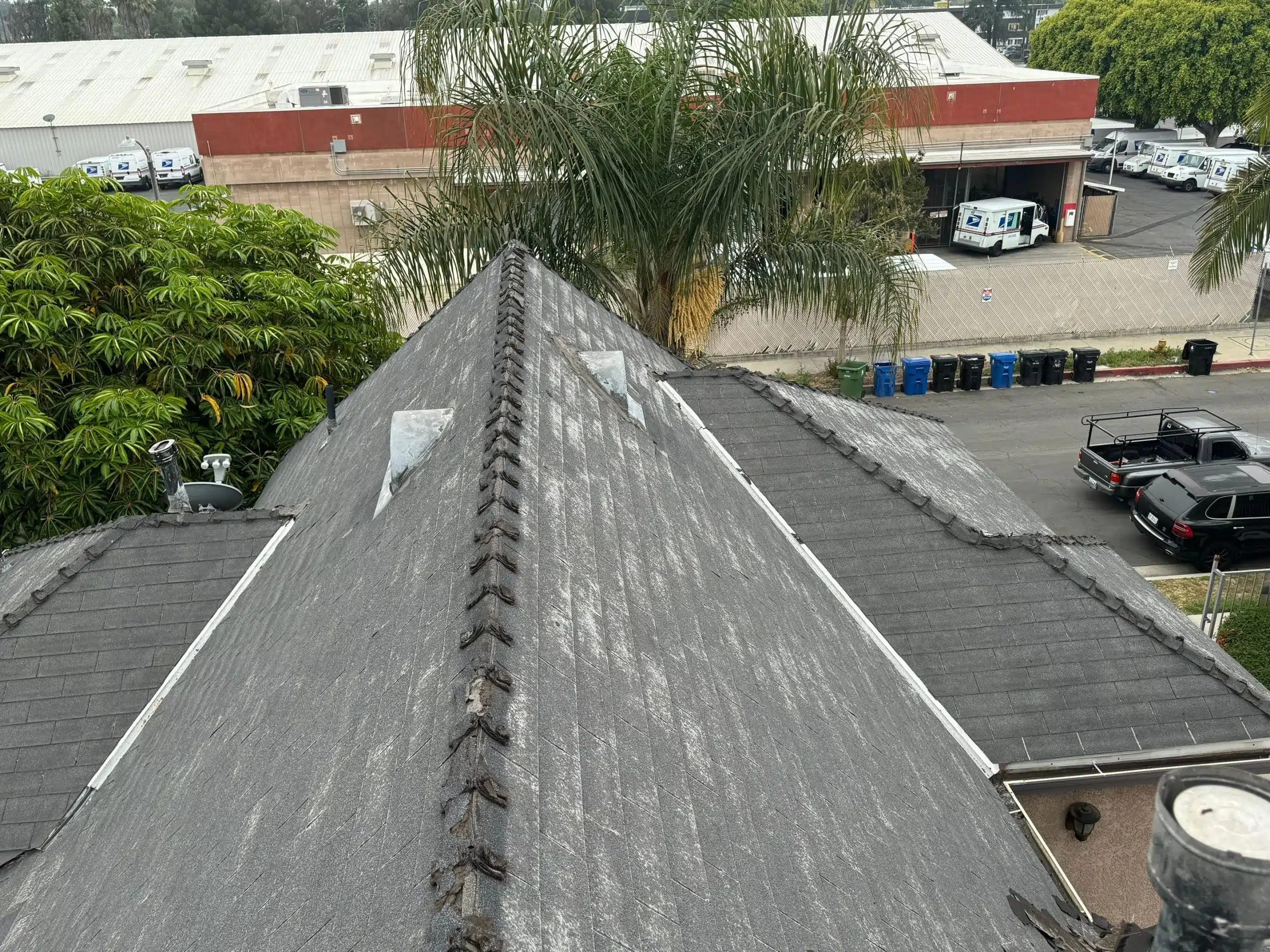 shingle roof damage