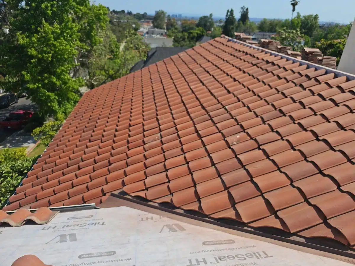62dc67a8-4d55-41e9-9501-ab17b259cda1 Common Flat Roof Issues