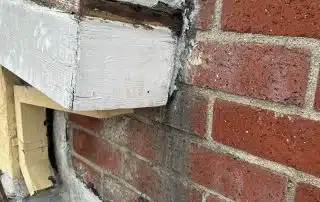 rotted wood