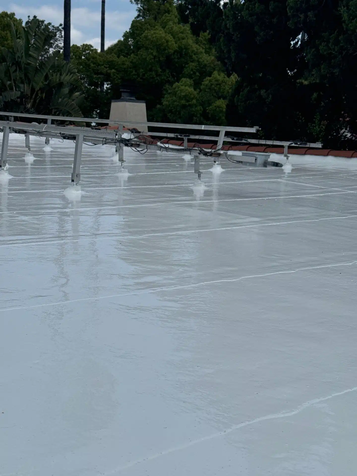Flat Roof Preventative Maintenance