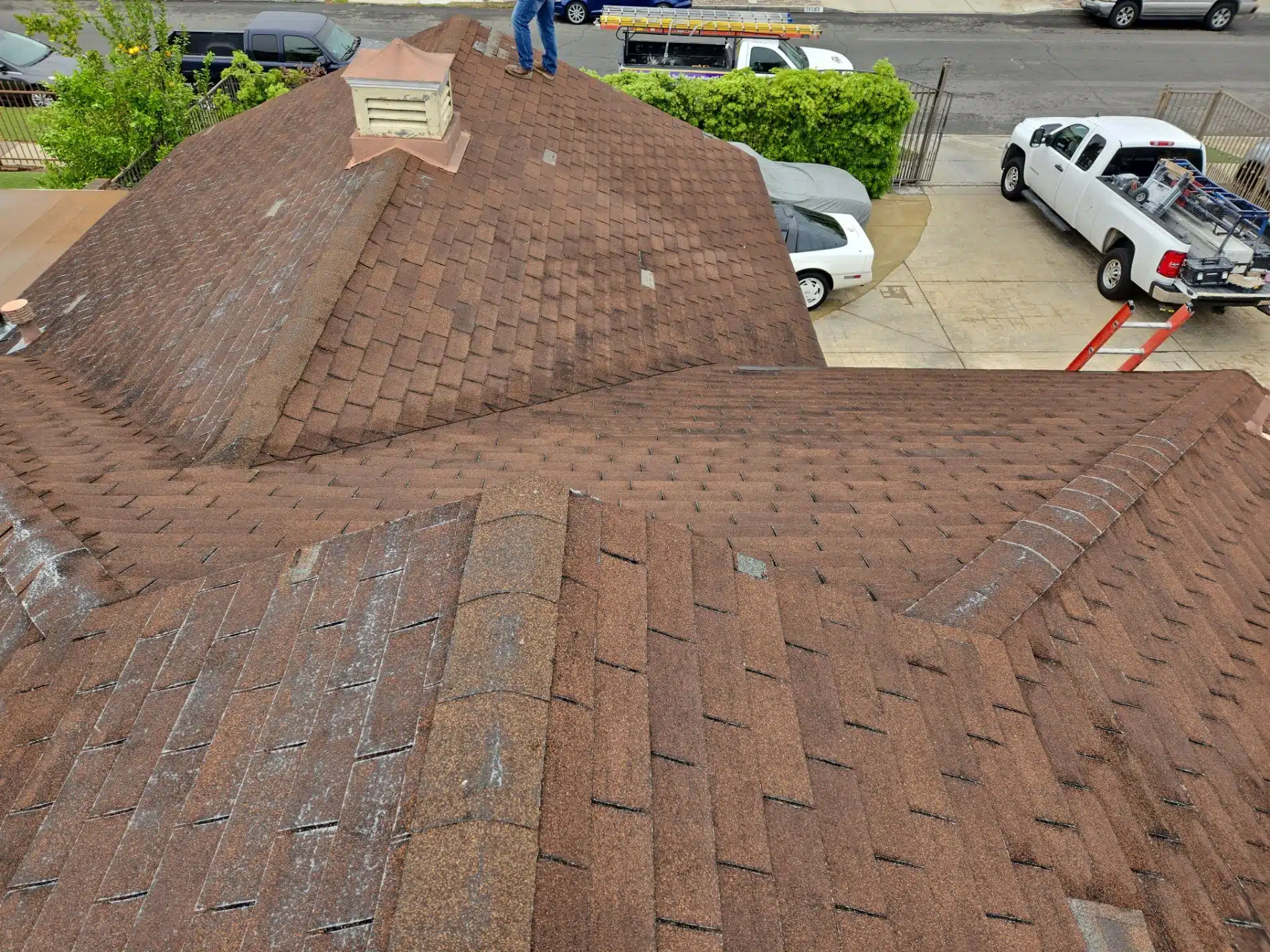 Los Angeles Shingle Replacement Water damage and mold inside attic caused by leaking roof shingles