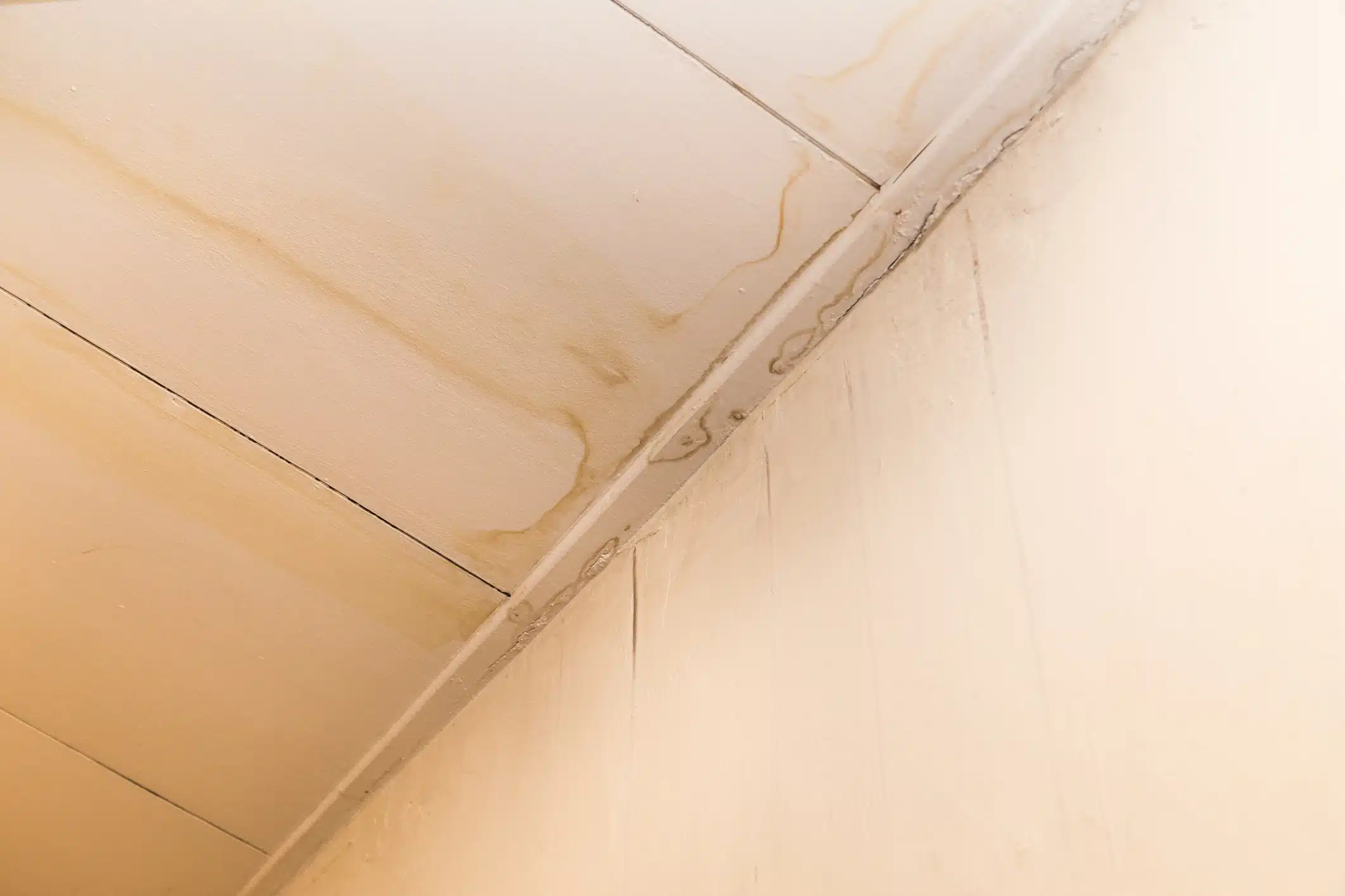 Water Stains on Ceiling Water Stains on Ceiling
