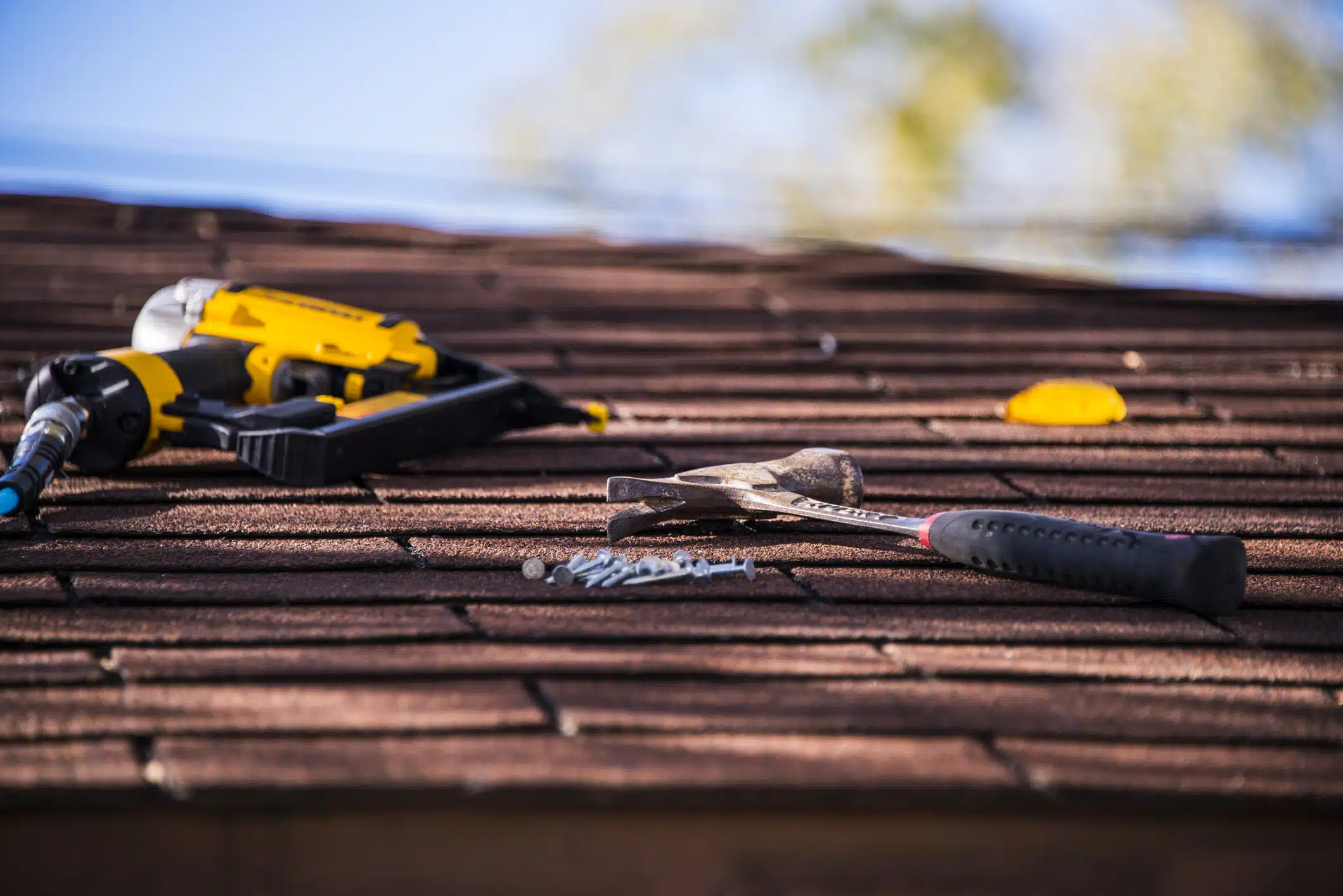 Roof Patching vs Restoration Roof Patching vs Restoration