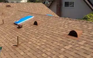 Shingle roof with skylights and palm trees background