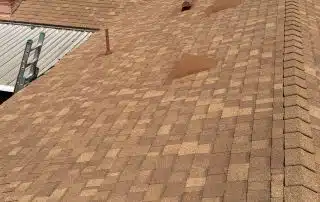 Shingled roof with solar panels and skylight installation.
