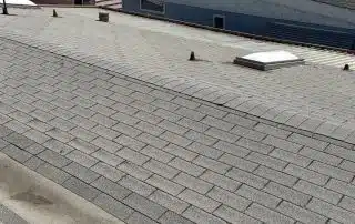 Rooftops with mountain and palm tree view.