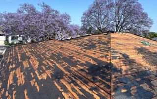 Weathered rooftop with purple flowering trees.