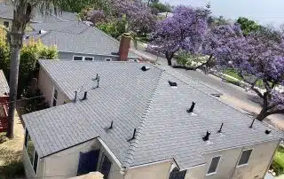 Aerial view of a residential roof with jacaranda trees.