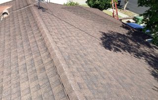 Brown shingle roof with antenna and ladder nearby.