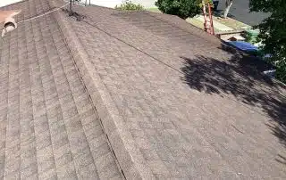Brown shingle roof with antenna and ladder nearby.