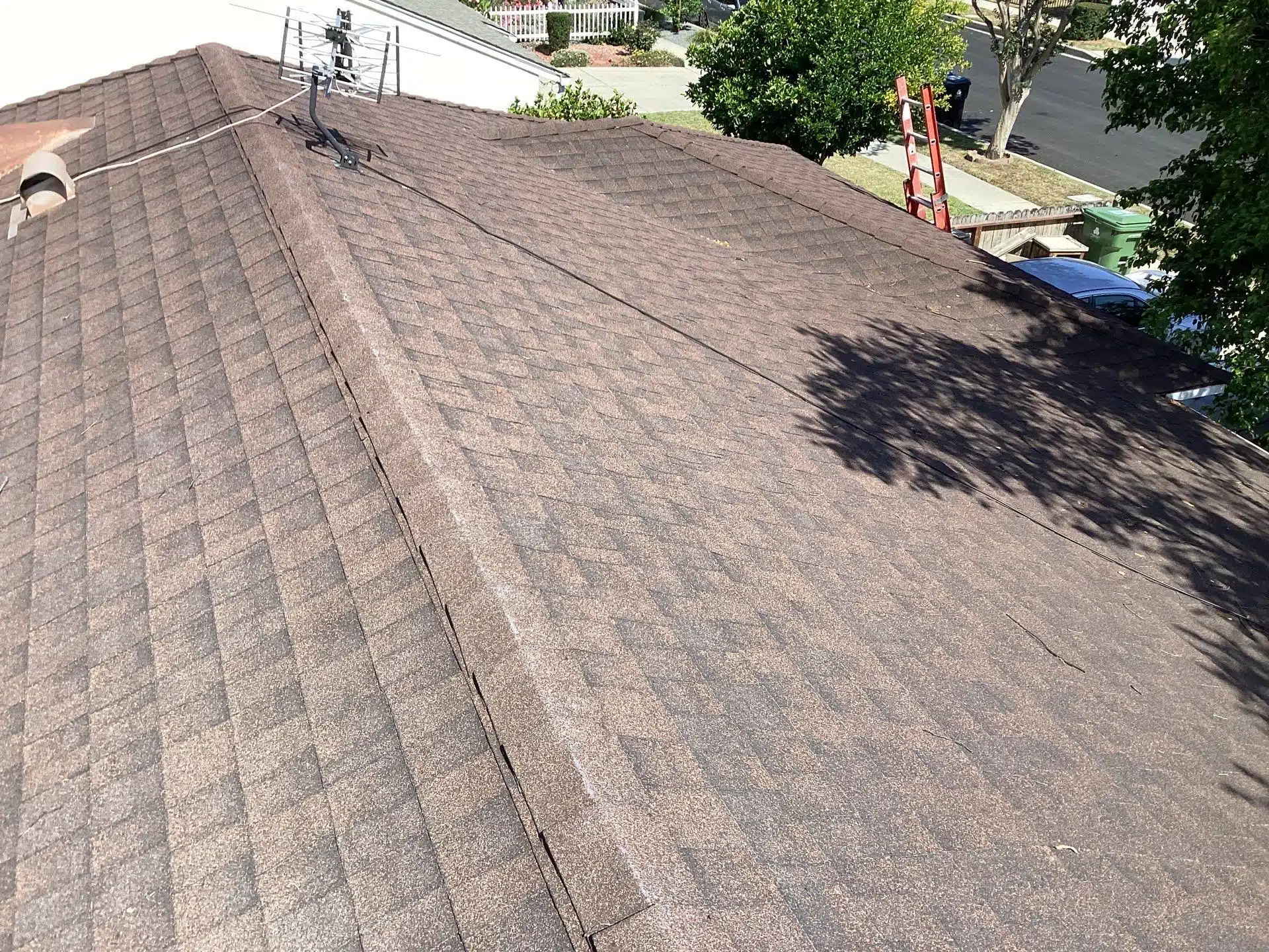 Brown shingle roof with antenna and ladder nearby.