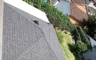Rooftops and backyard gardens with greenery.