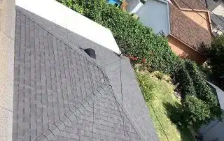 Residential rooftops and gardens from above.