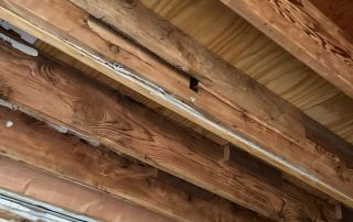 Exposed wooden ceiling beams in construction site.