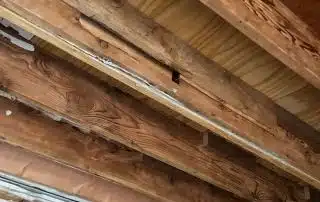 Exposed wooden ceiling beams in construction site.