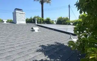 7-Jun 26 2025 10_55am-neiH Chimney and palm tree on sunny rooftop