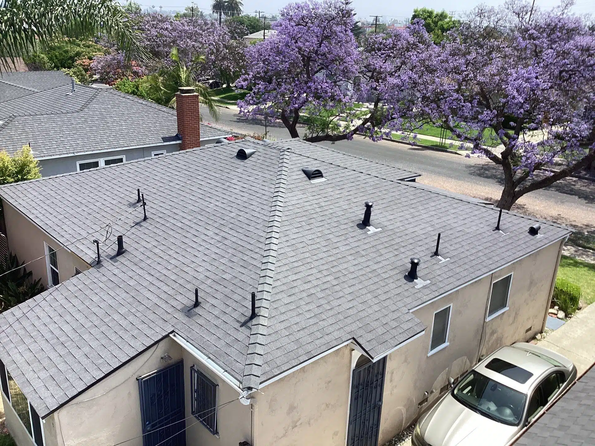 House with new roof and blooming jacaranda trees.