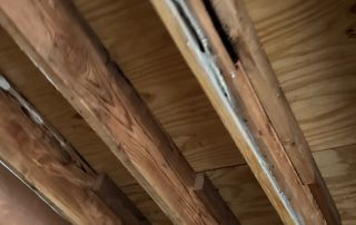 Wooden beams and ceiling structure in unfinished building.