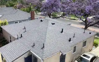 House roof with blooming jacaranda trees nearby.