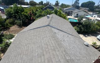 View from rooftop over suburban neighborhood with trees.