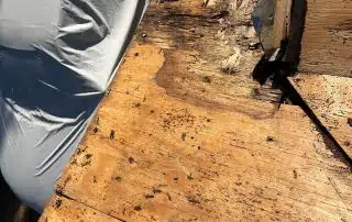 Damaged plywood roof surface with covering tarp.