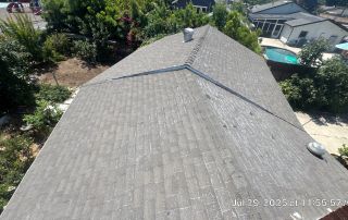 Shingle roof view with trees and pool.