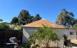 Sunny backyard with trees and barbecue grill.