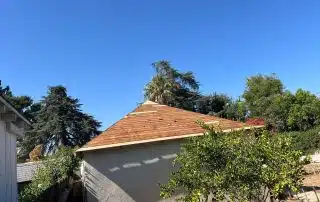 Sunny backyard with trees and fenced garden
