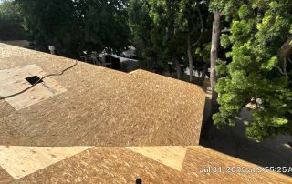 New plywood roof under construction amid trees.