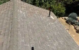 Residential rooftop overlooking garden and buildings, sunny day.
