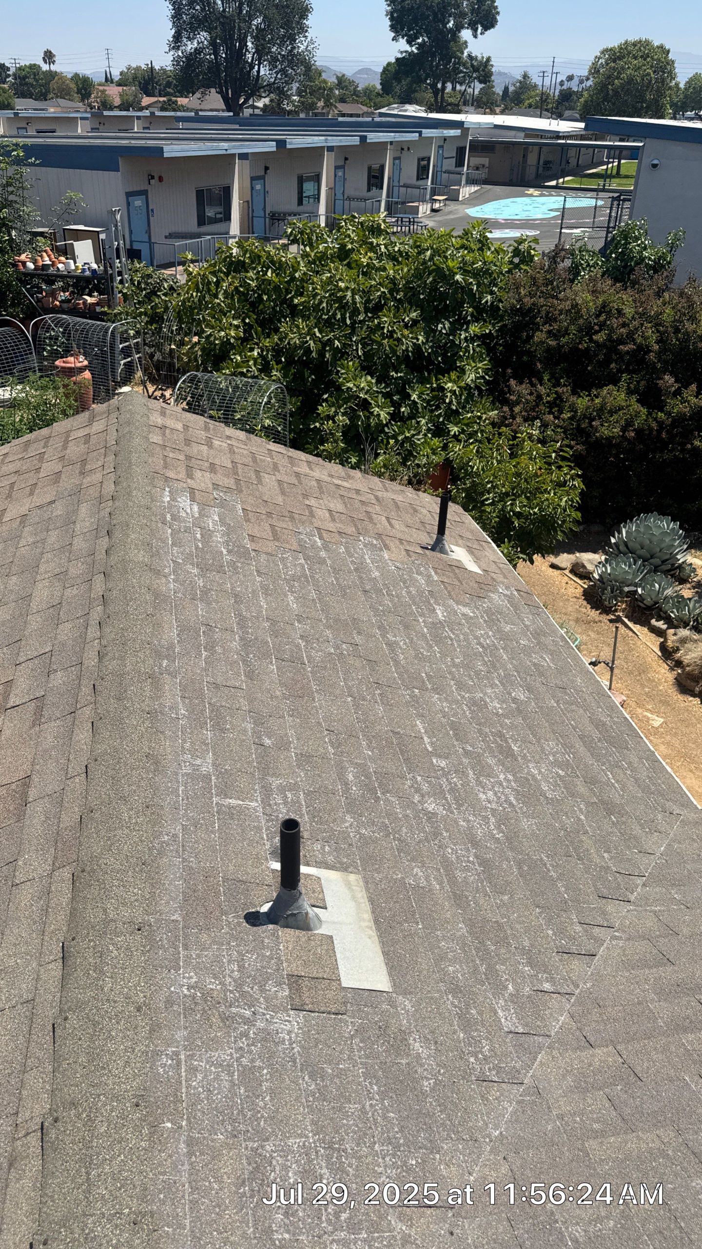 Residential rooftop overlooking garden and buildings, sunny day.
