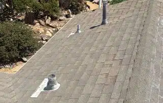 View from rooftop overlooking backyard garden.