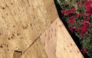 Wooden planks meet colorful garden flowers.