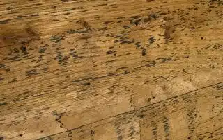 Close-up of distressed wooden surface texture.