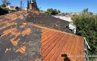 Damaged roof shingles and exposed wood.