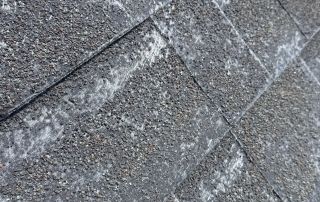 Close-up of textured roof shingles.