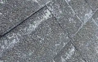 Close-up of textured roof shingles.