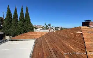 Rooftop view of neighborhood with tall trees