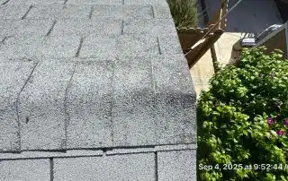 Shingled roof with green shrub and timestamp.