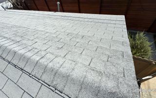 Gray shingle roof with sunlight and plants nearby.