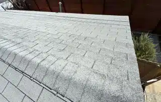 Gray shingle roof with sunlight and plants nearby.